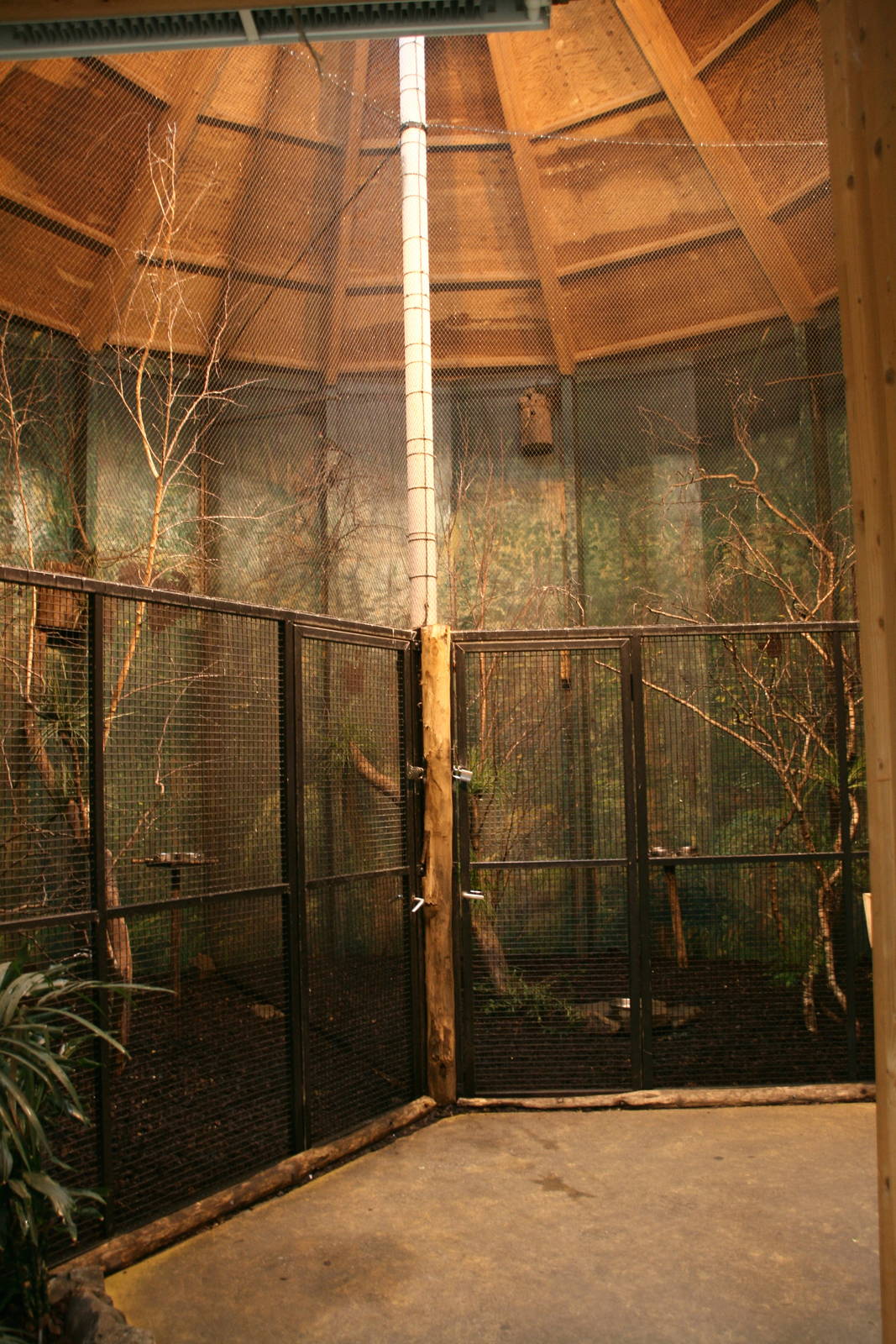 Aviary inside the mandrilhouse