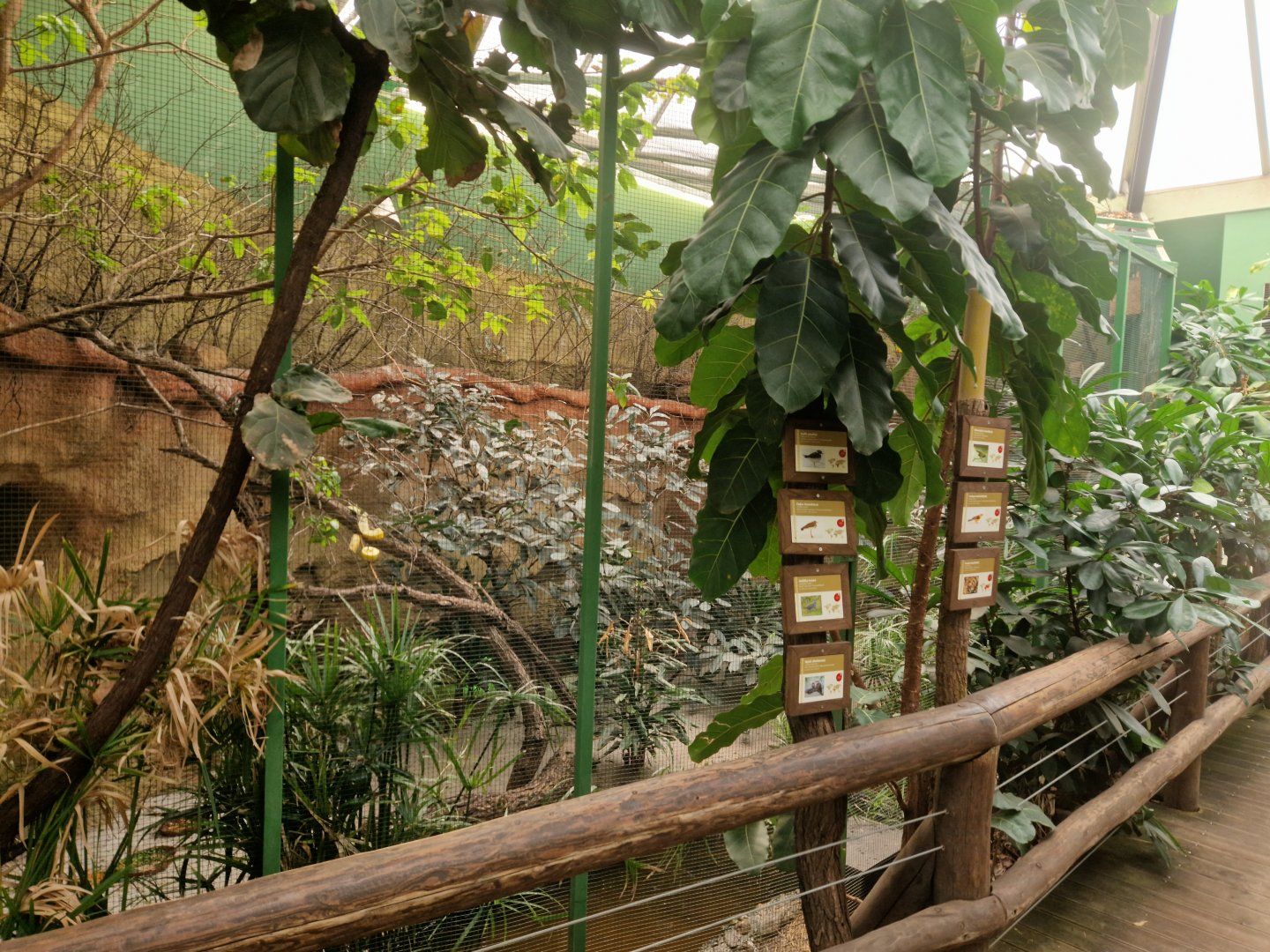 Aviary inside the Pygmy hippopotamus house