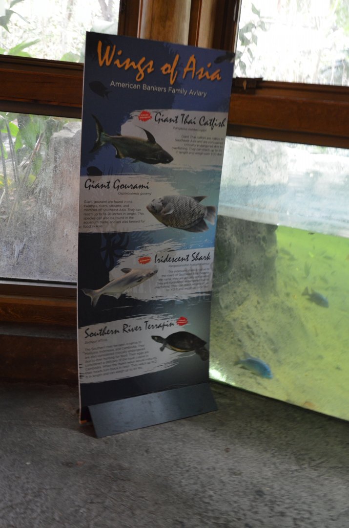 Aviary Interior - Fish List