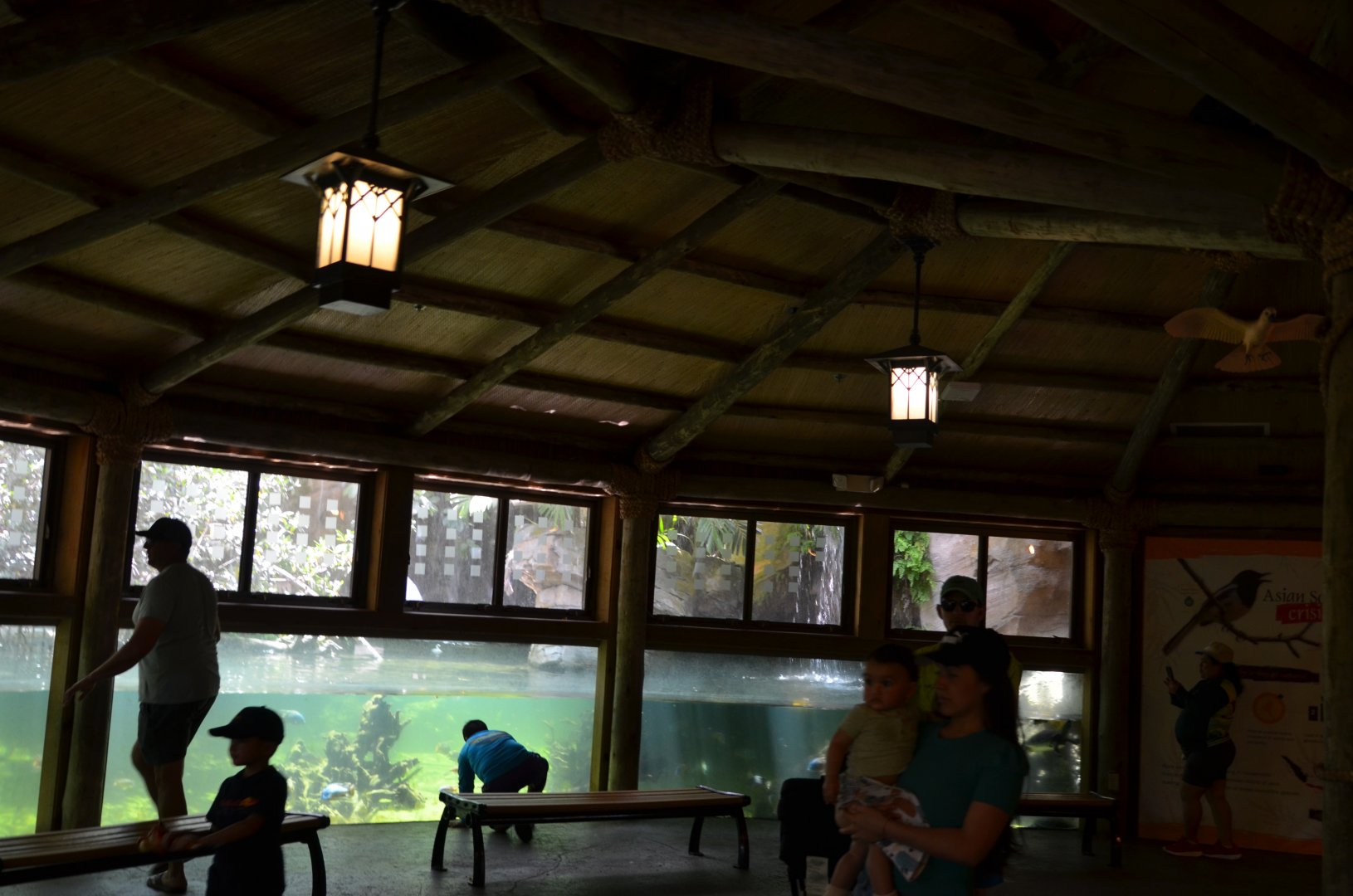 Aviary Interior + Fish
