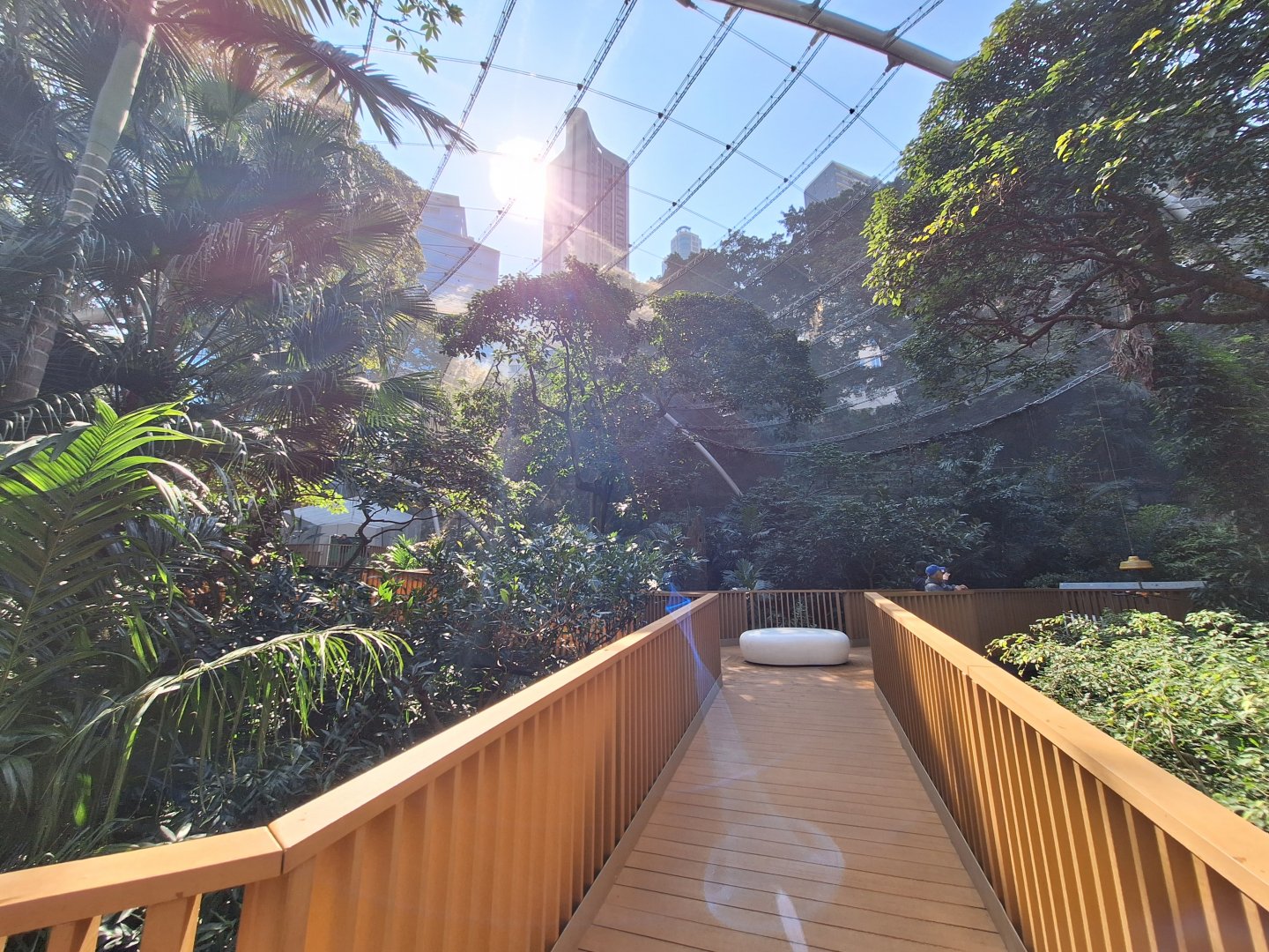 Aviary Interior