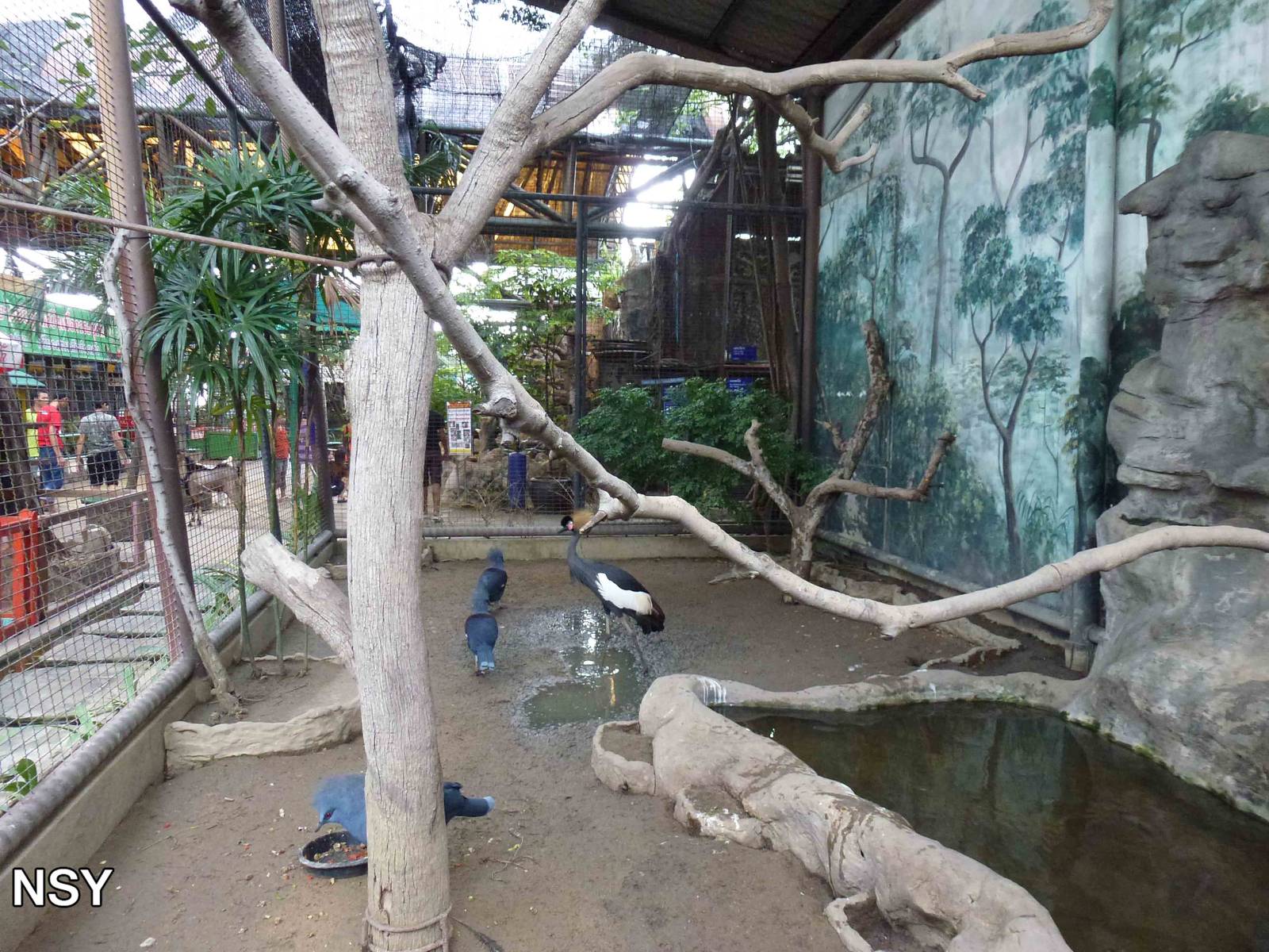 Aviary, June 2013.