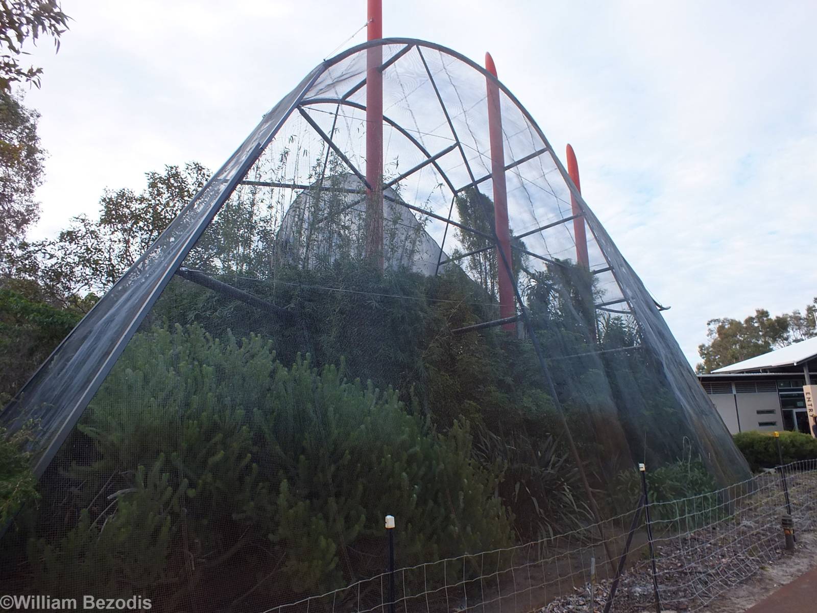 Aviary Just Outside Entrance - Caversham Wildlife Park