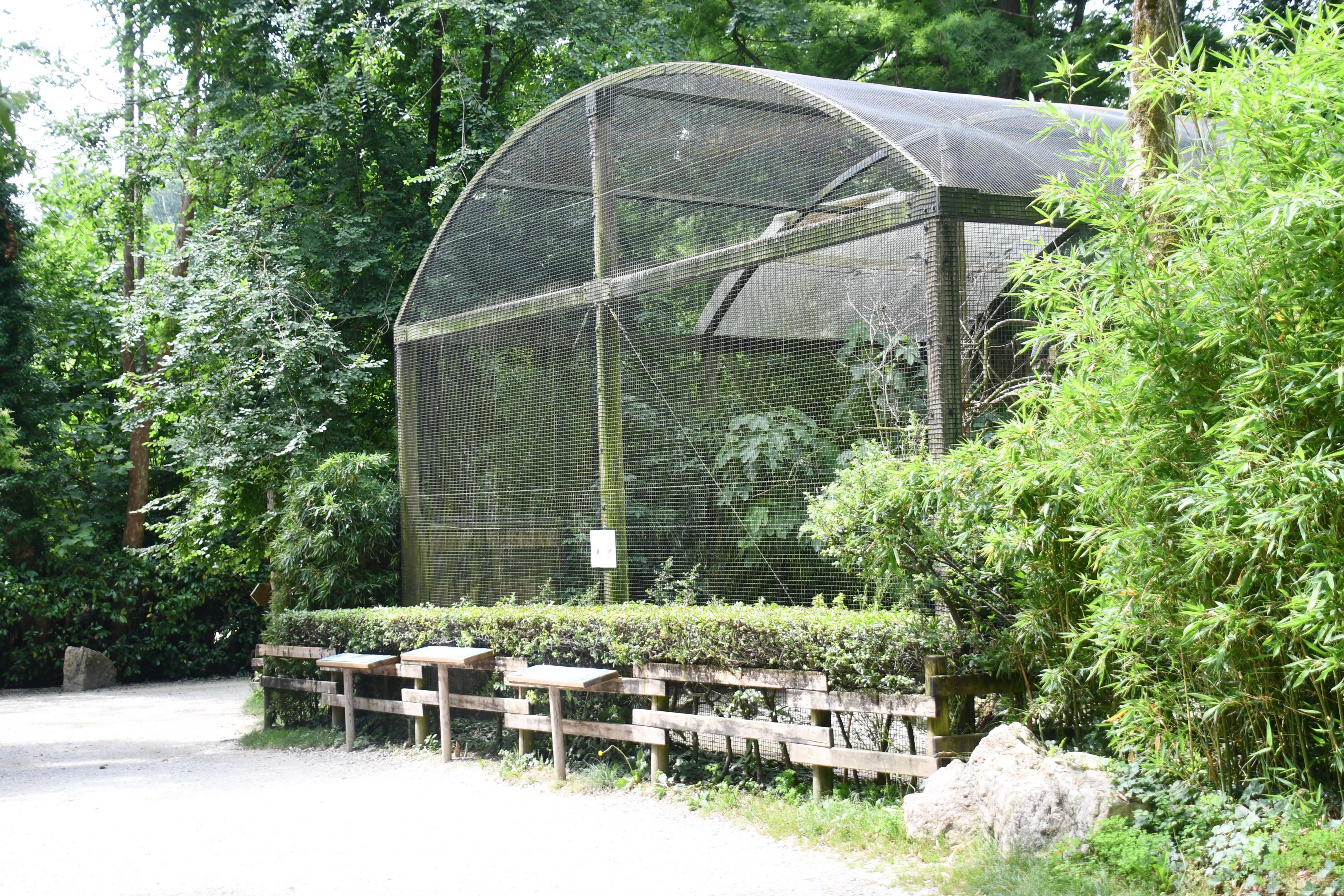 Aviary (Laughing Kookaburra, Straw-necked Ibis, Magpie Goose)