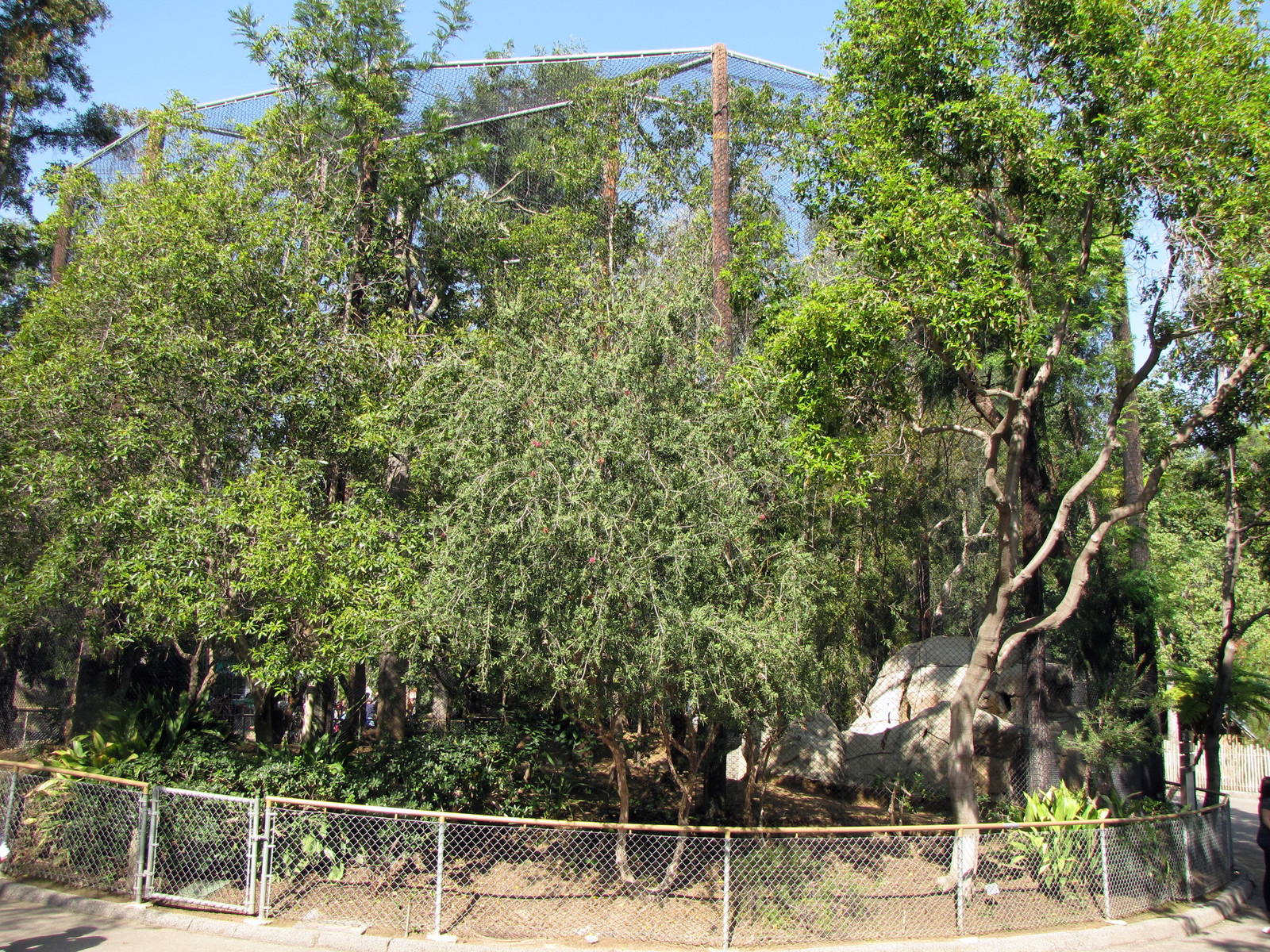 Aviary Mixed Hornbill/Yellow-footed Rock Wallaby Habitat