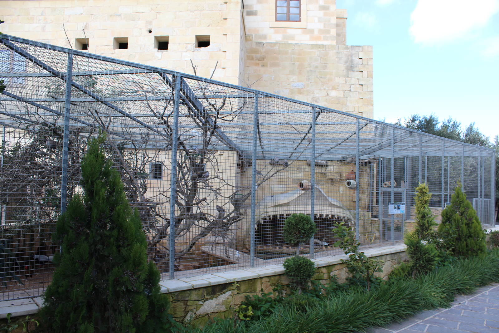 Aviary - MonteKristo Animal Park, Malta