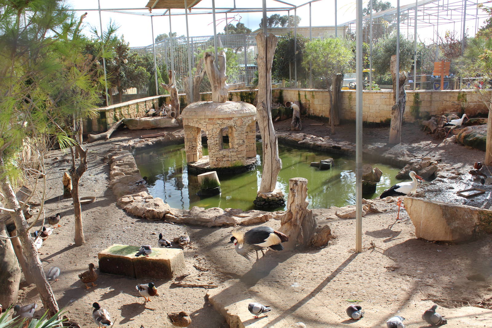 Aviary - MonteKristo Animal Park, Malta