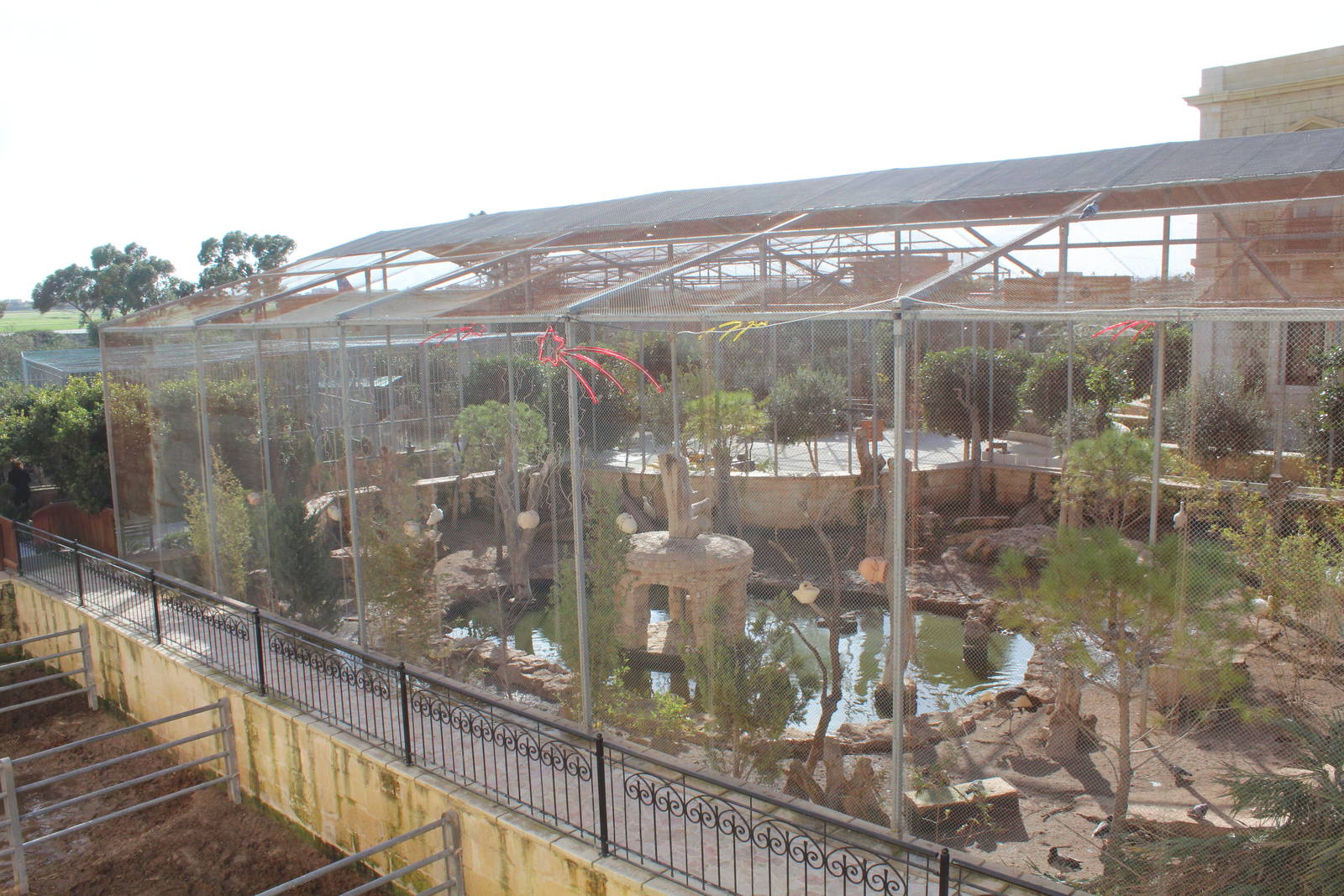 Aviary - MonteKristo Animal Park, Malta