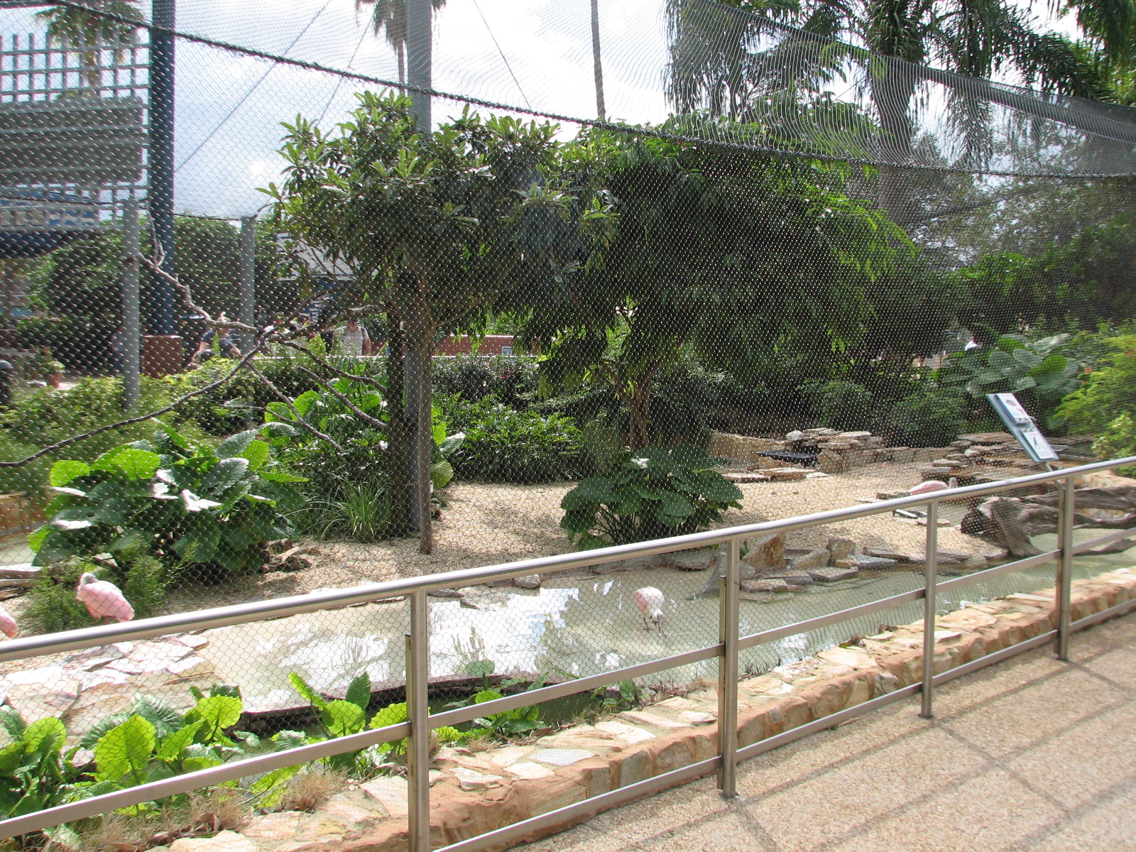 Aviary near Shark Encounter