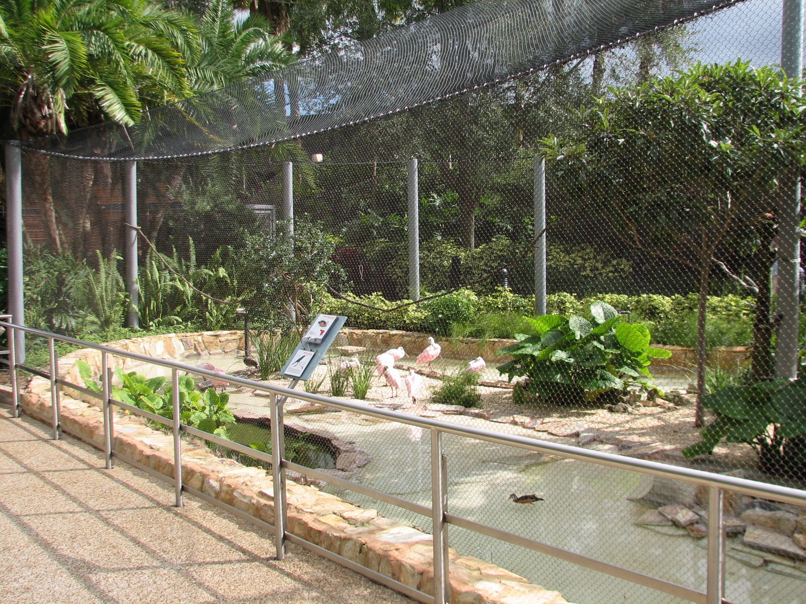 Aviary near Shark Encounter