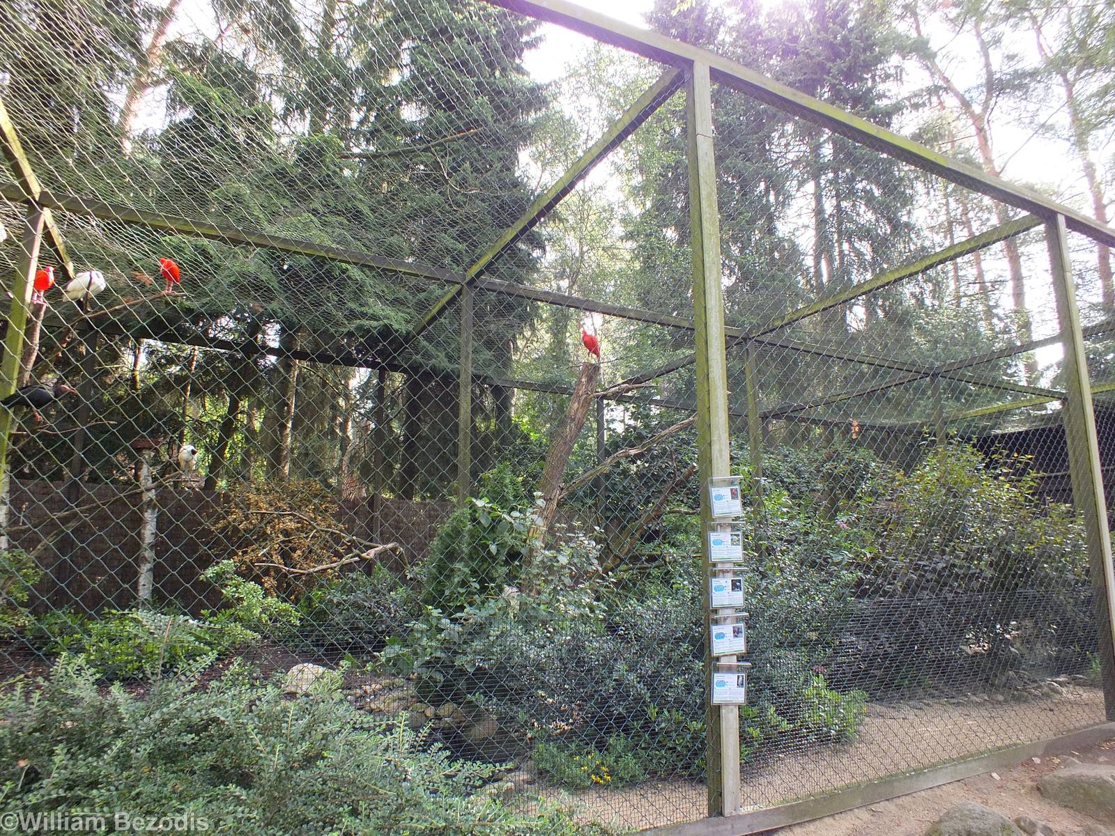 Aviary near the Entrance