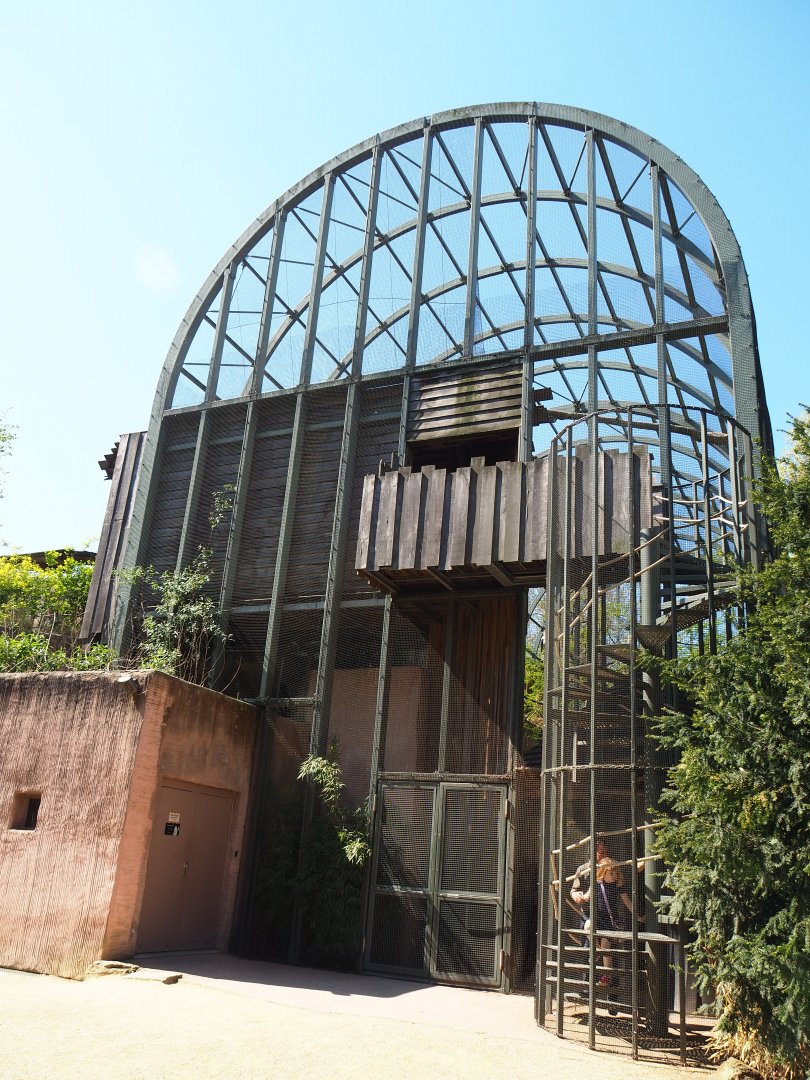 aviary next to and on top of the hippopotamus house -  2019