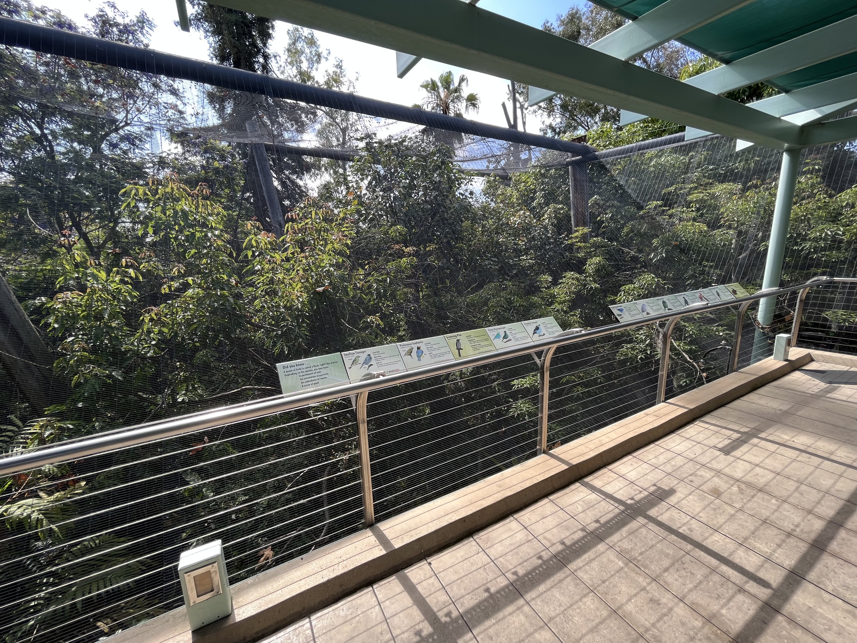 Aviary (next to bus tour station)