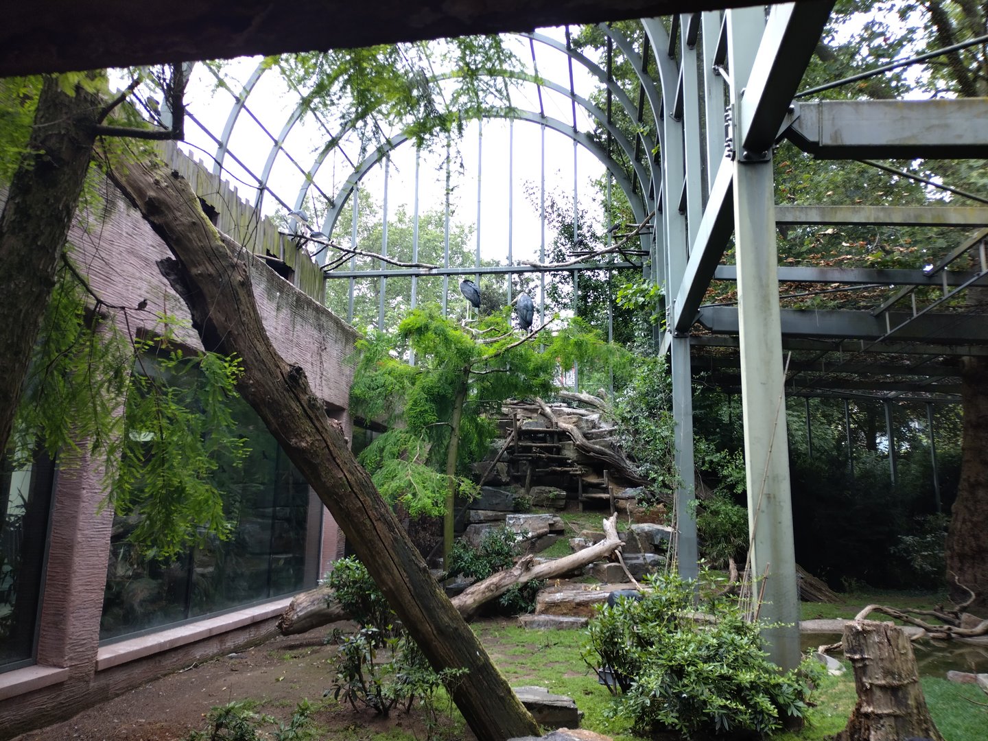 Aviary next to the hippo enclosure