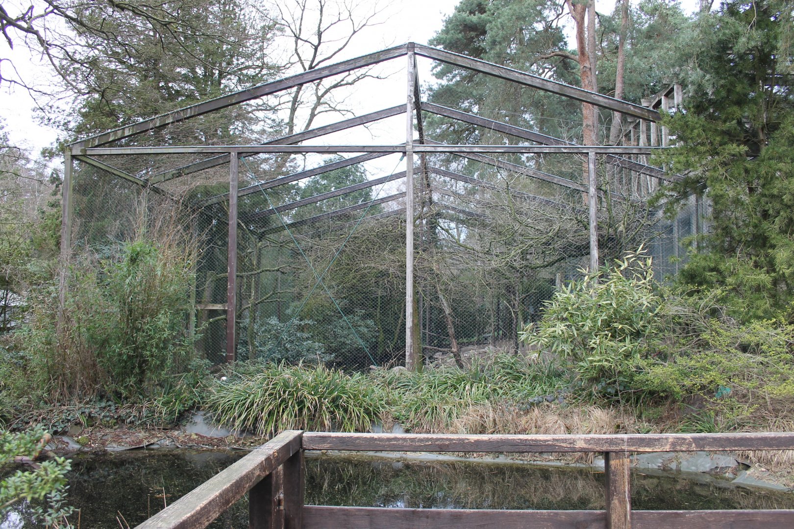 Aviary next to the Uhu-burg (24/3-19)