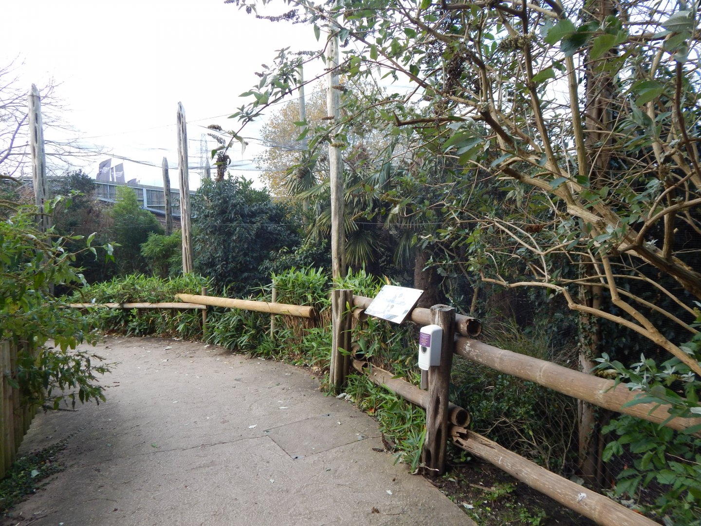 Aviary outside Elephants of the Asian Forest 241123