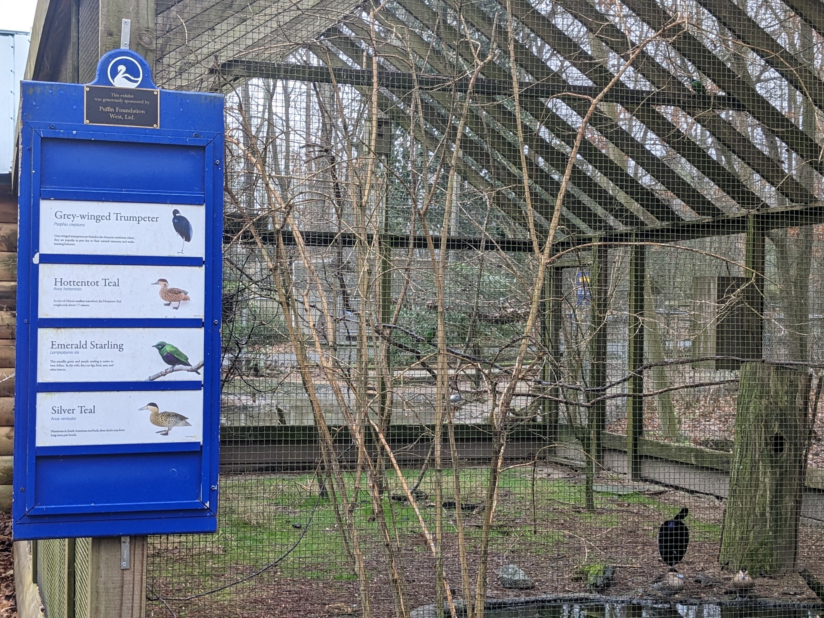 Aviary (outside wings of the tropics)