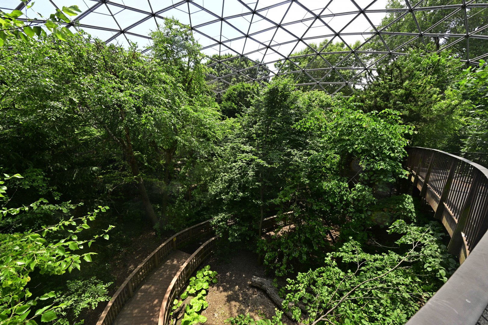 Aviary - Overview