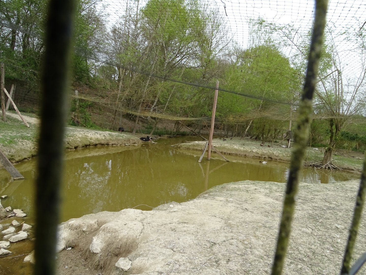Aviary  - Parc animalier d'Ecouves