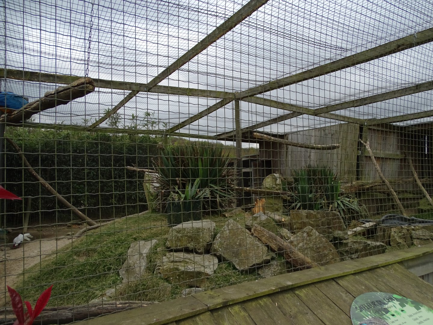 Aviary - Parc animalier d'Ecouves