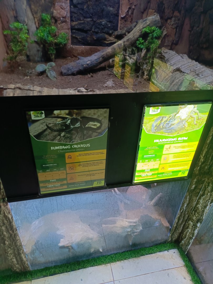 Aviary Park Indonesia - Caucasus Beetle signage