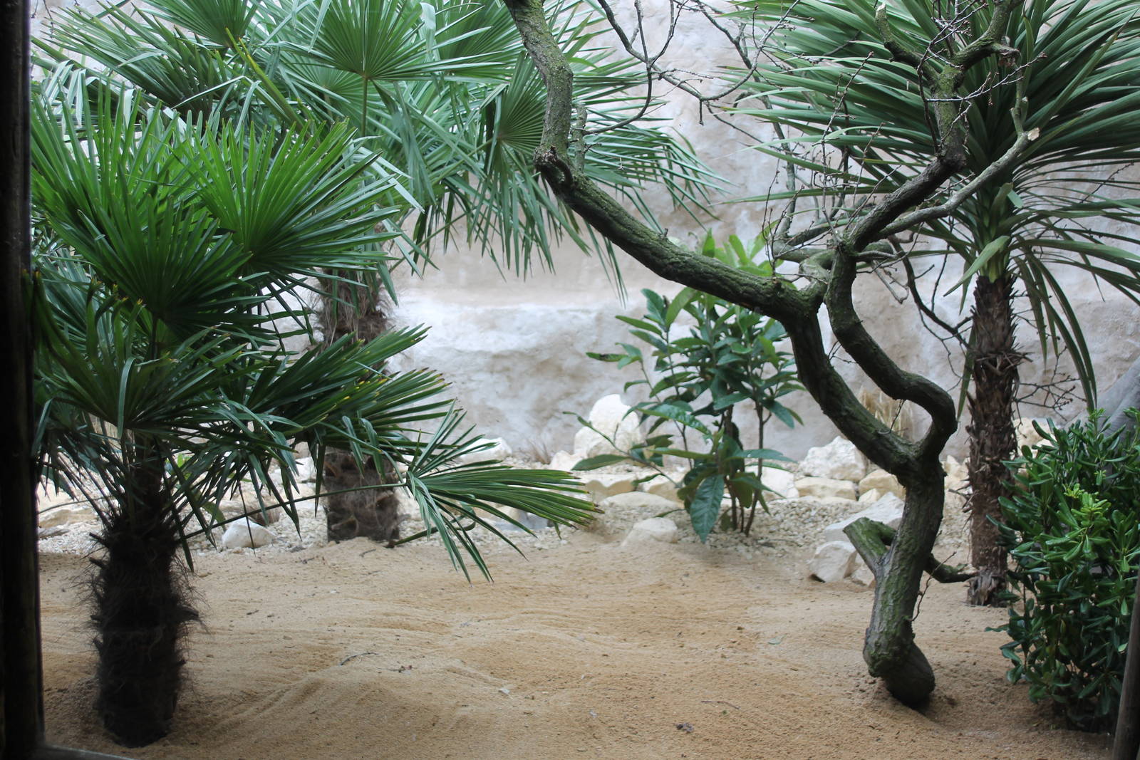 aviary Parrot Breeding Centre Chester Zoo 2015