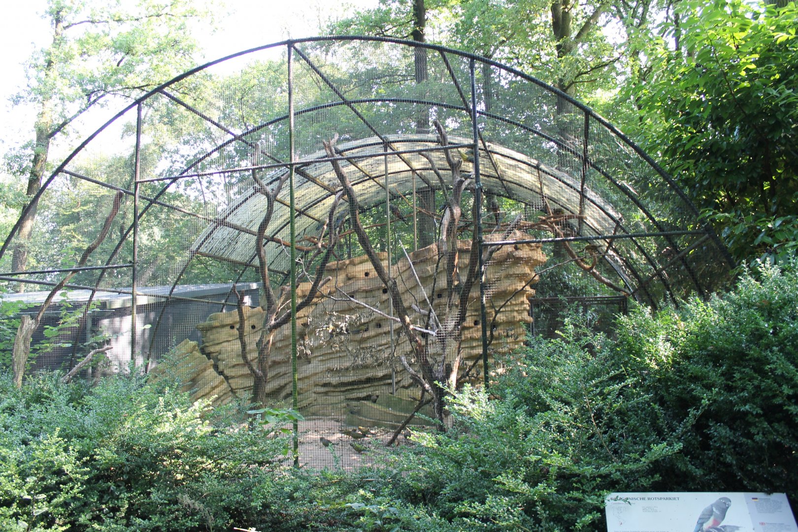 Aviary Patagonian conure