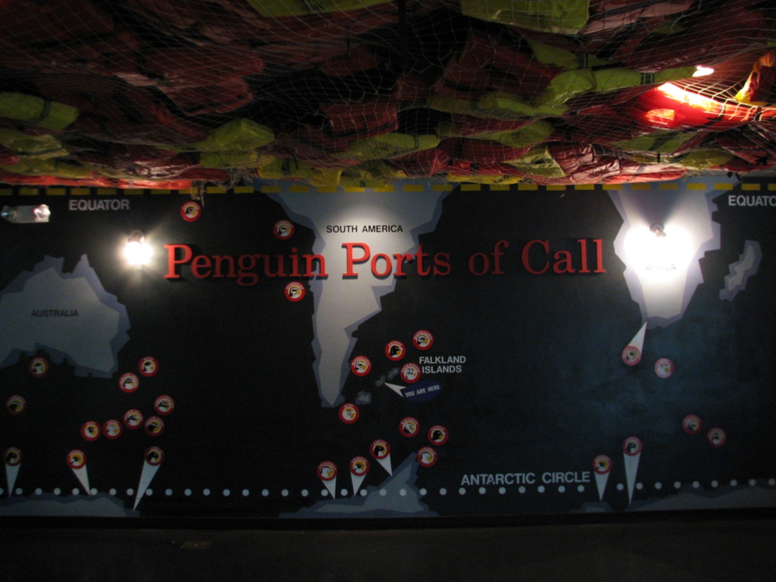 Aviary - Penguin Graphic