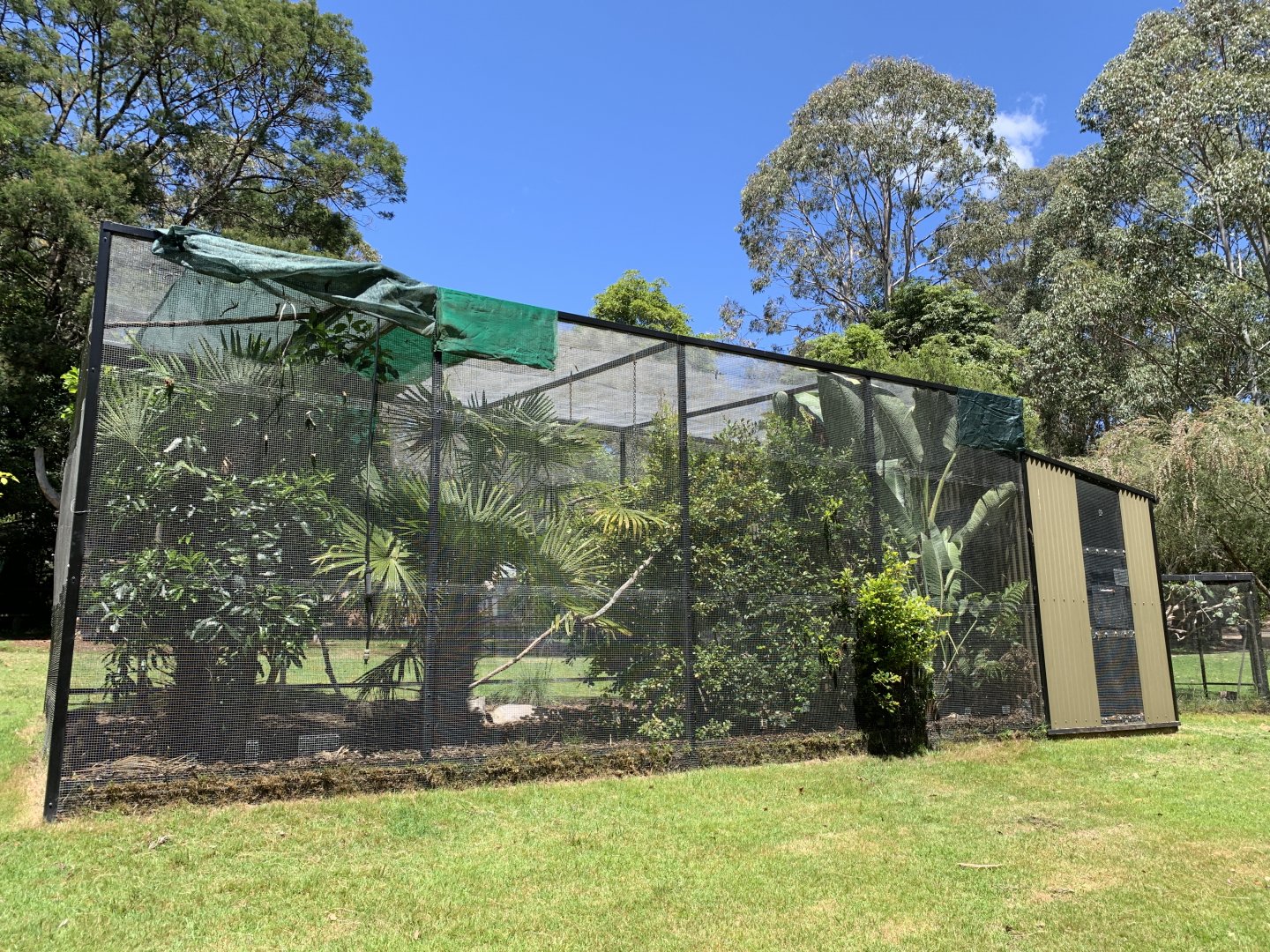 Aviary (Potoroo Palace)