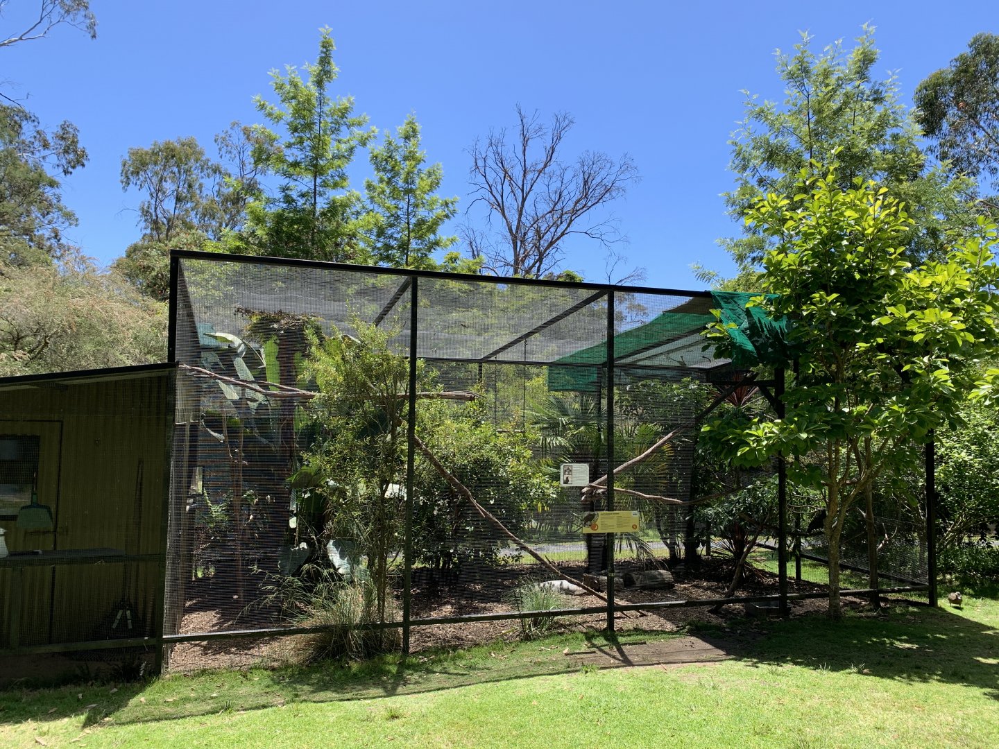 Aviary (Potoroo Palace)