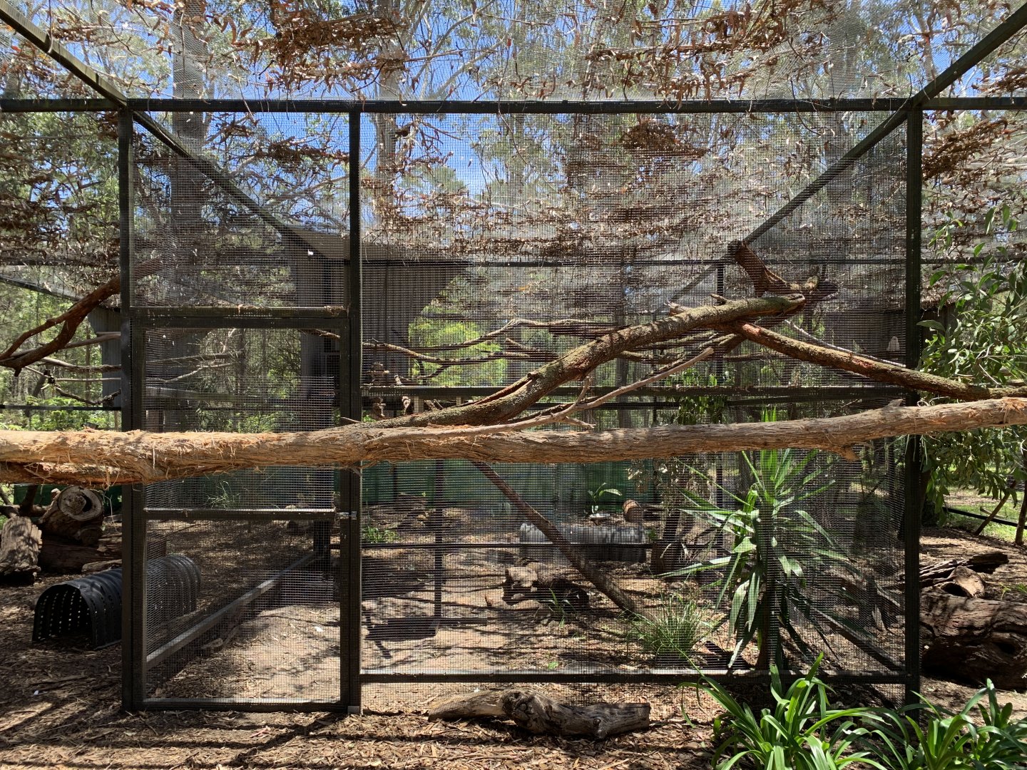 Aviary (Potoroo Palace)