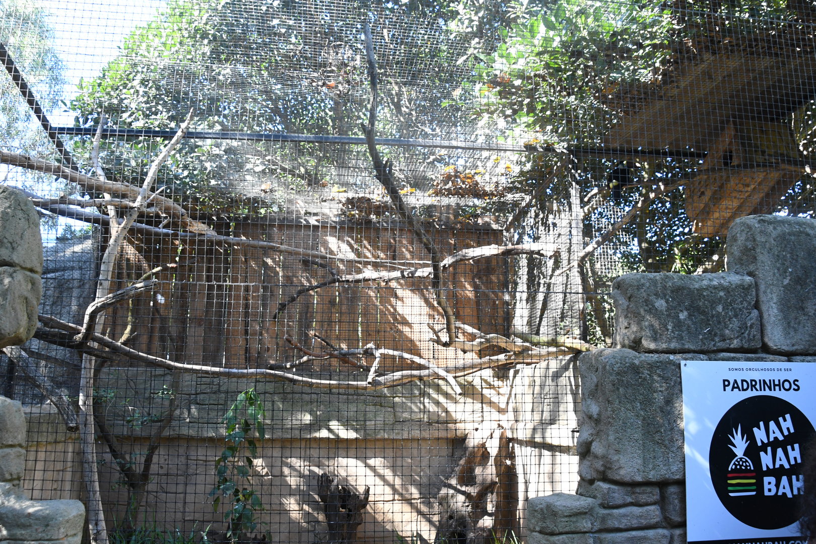 Aviary (Red-billed Toucan)