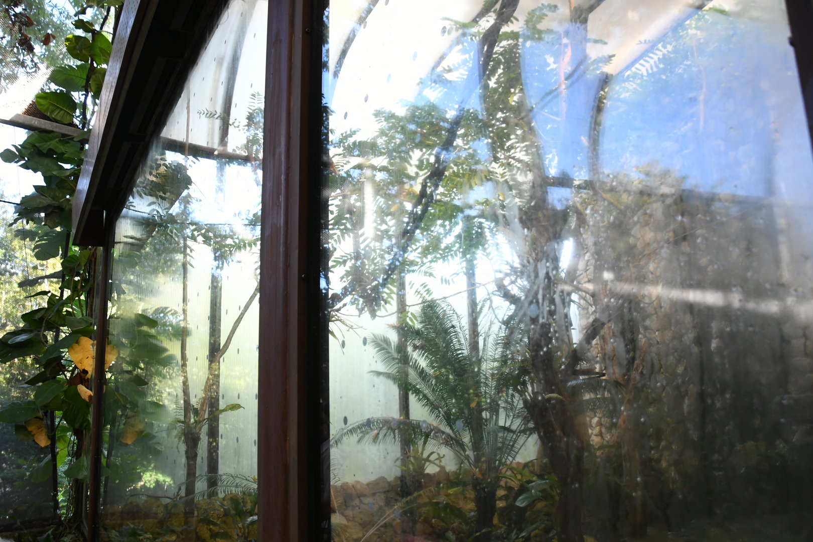 Aviary (Resplendent Quetzal enclosure)