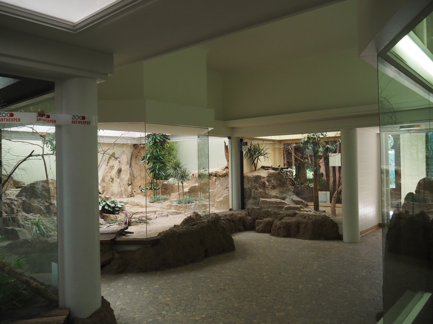 Aviary room in the bird house, 2020-09-20