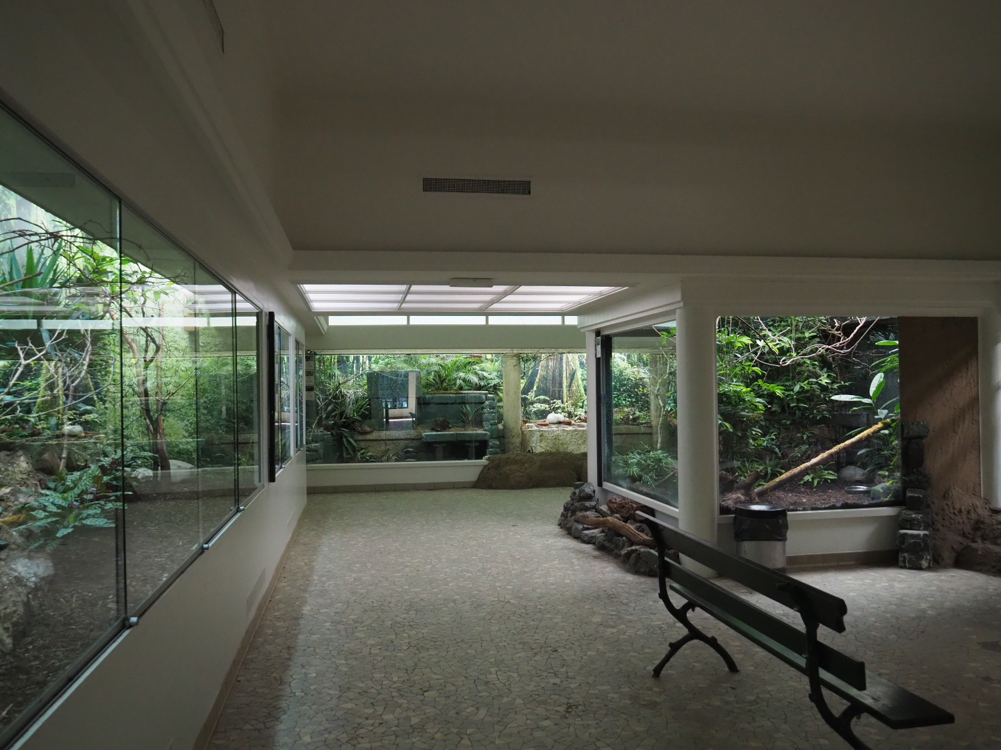 Aviary room in the bird house, 2020-09-20