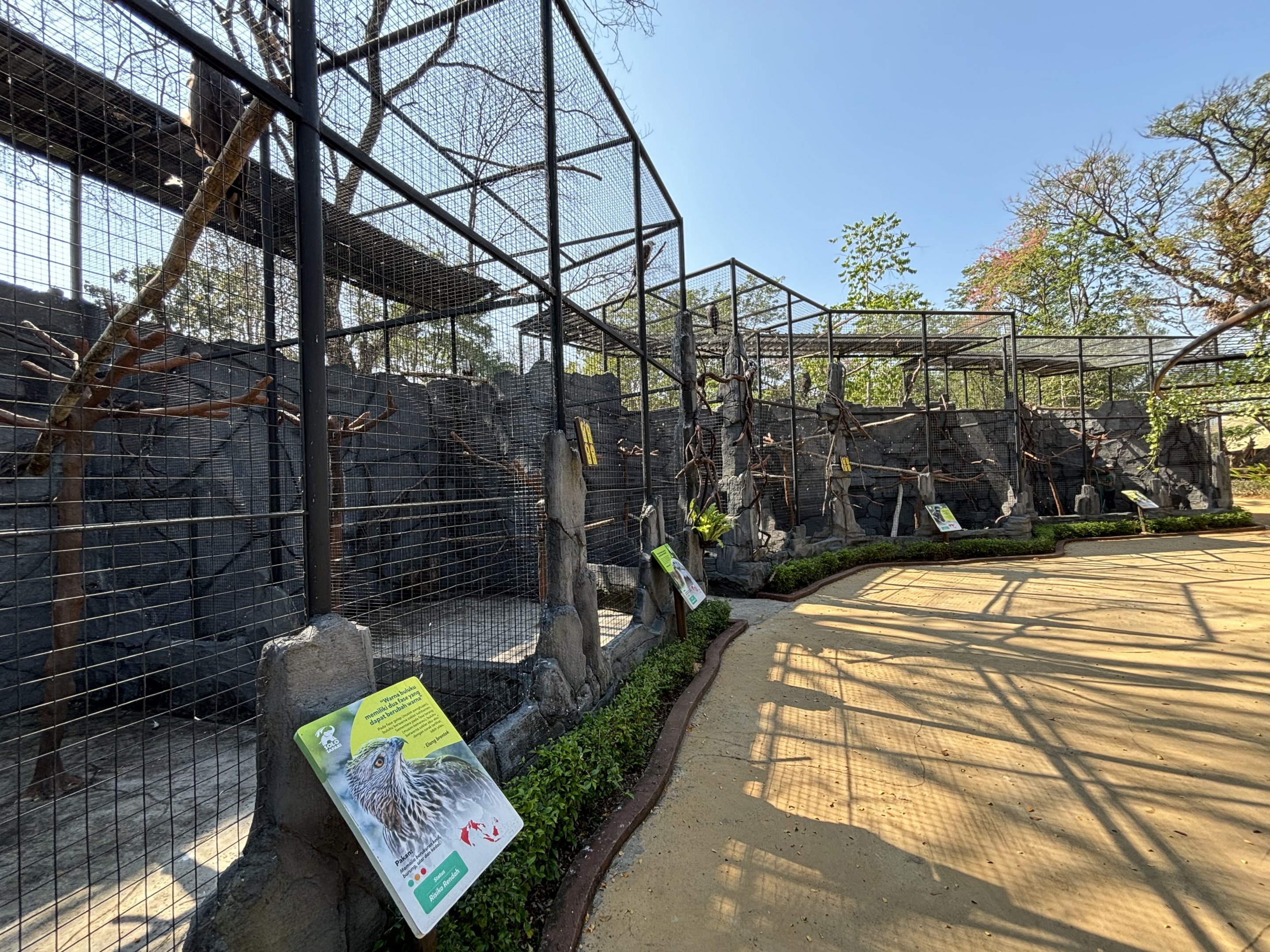 Aviary Row - Solo Safari