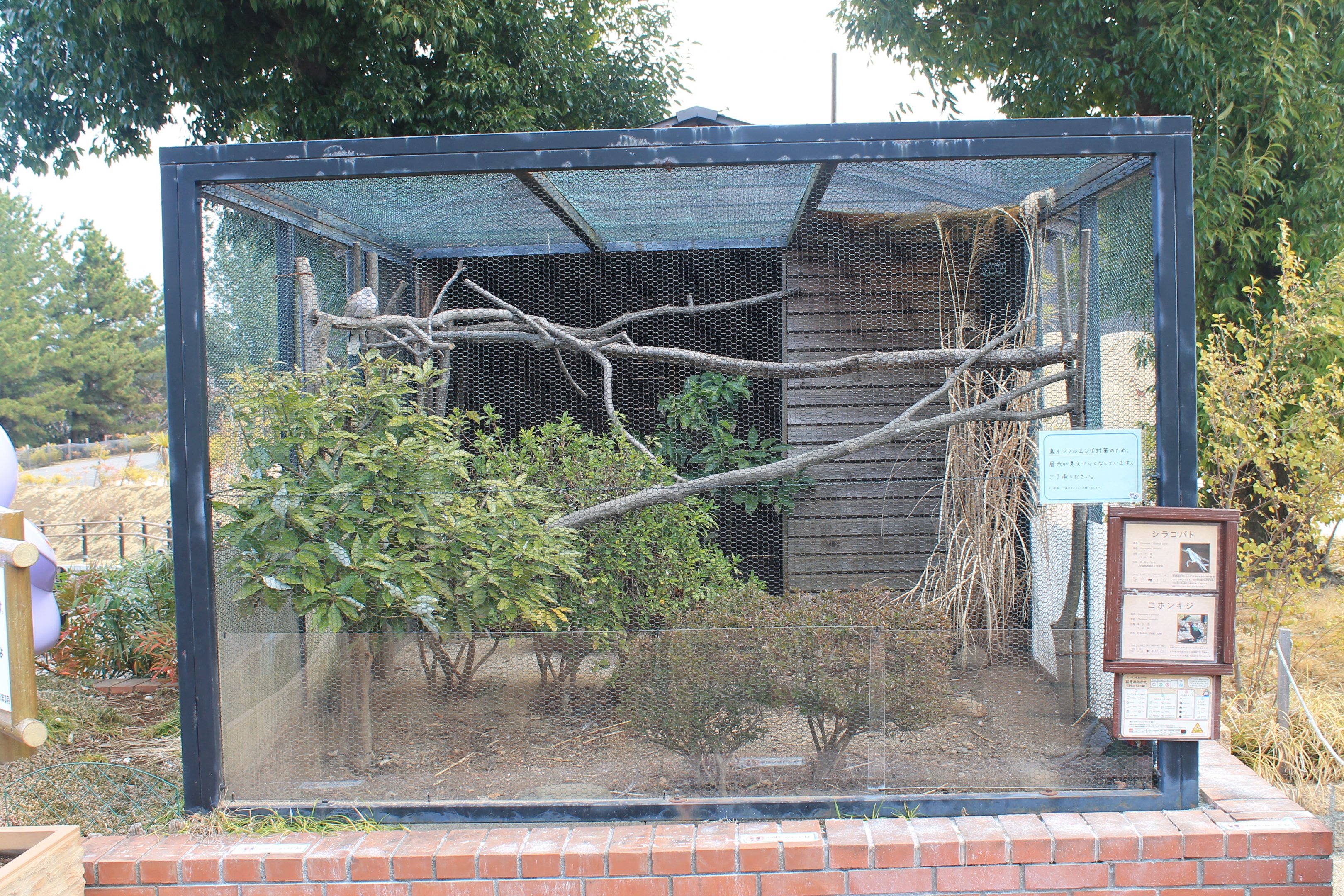Aviary - Saitama Childrens Zoo