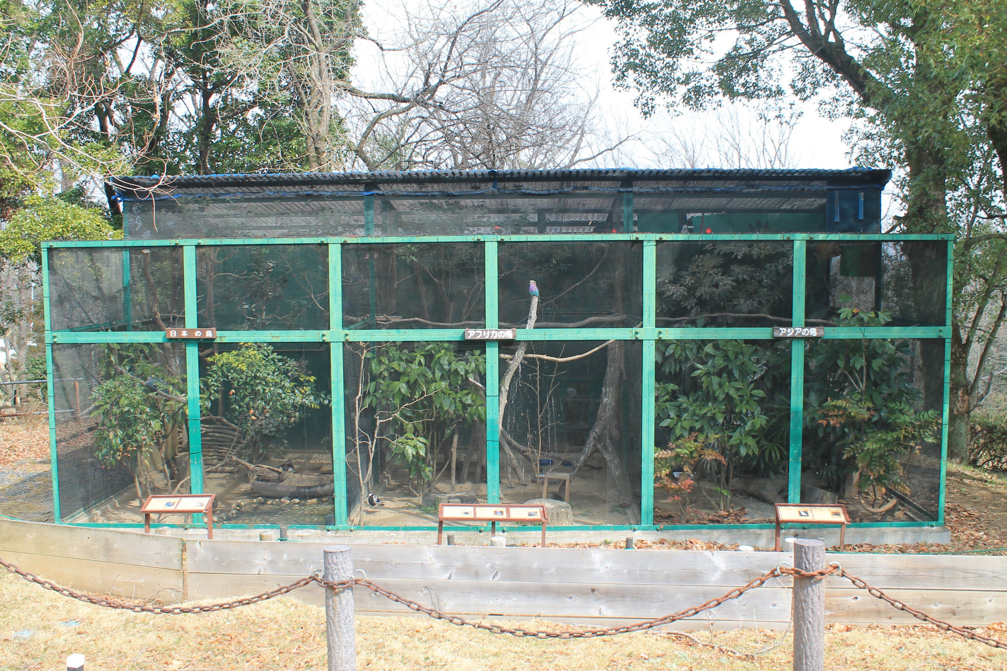Aviary - Saitama Childrens Zoo