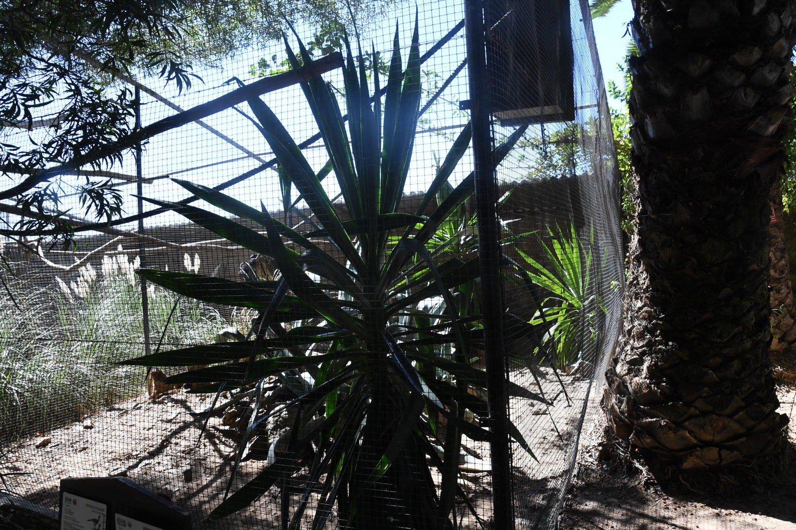 Aviary (Scarlet Macaws and Bare-faced Curassow)