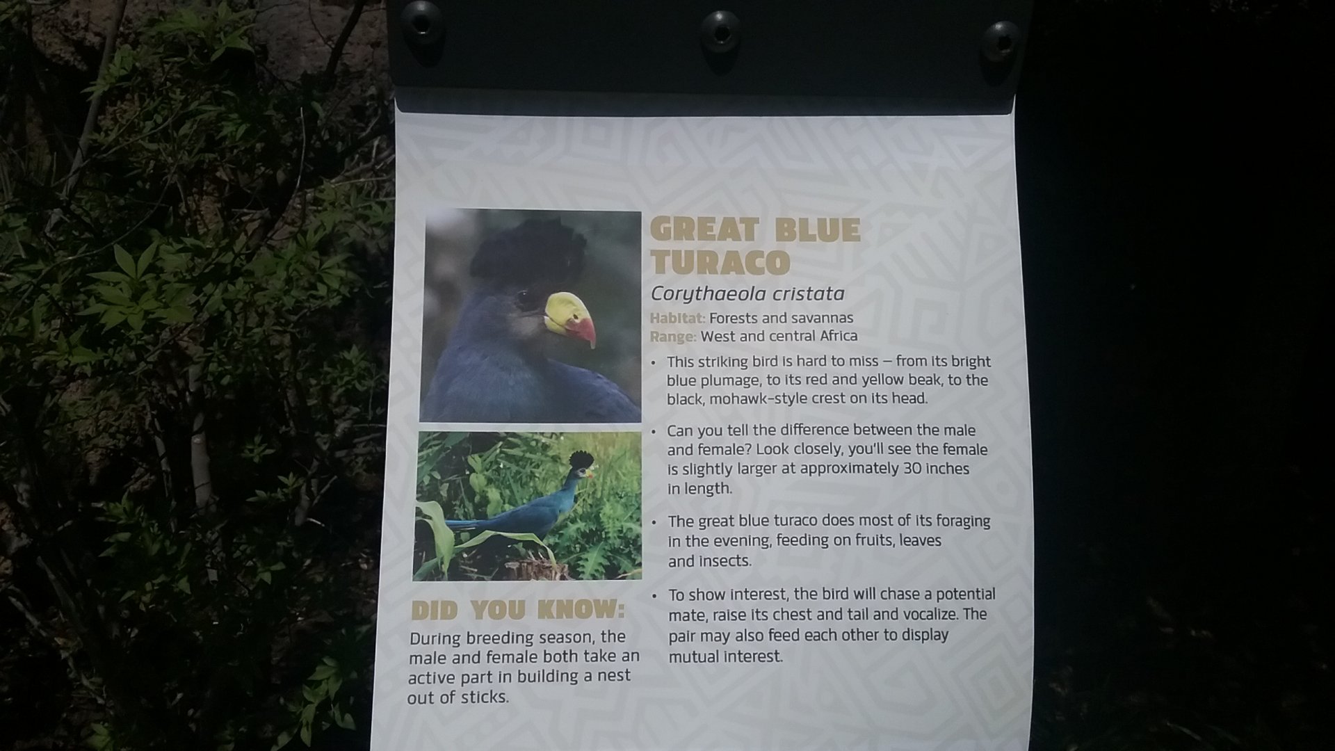 Aviary Sign 1