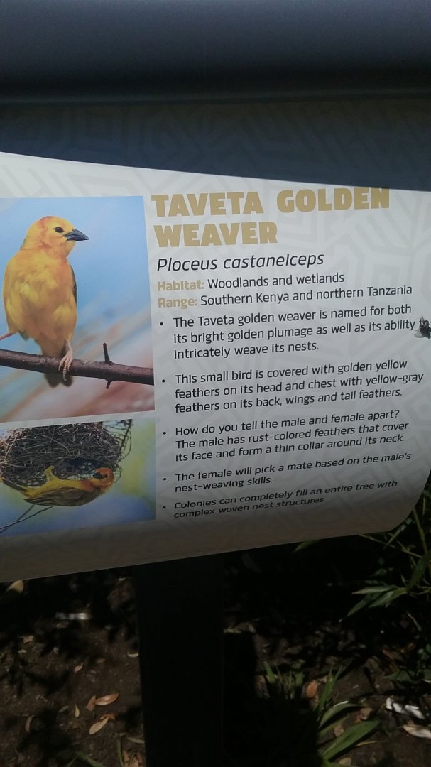 Aviary Sign 6