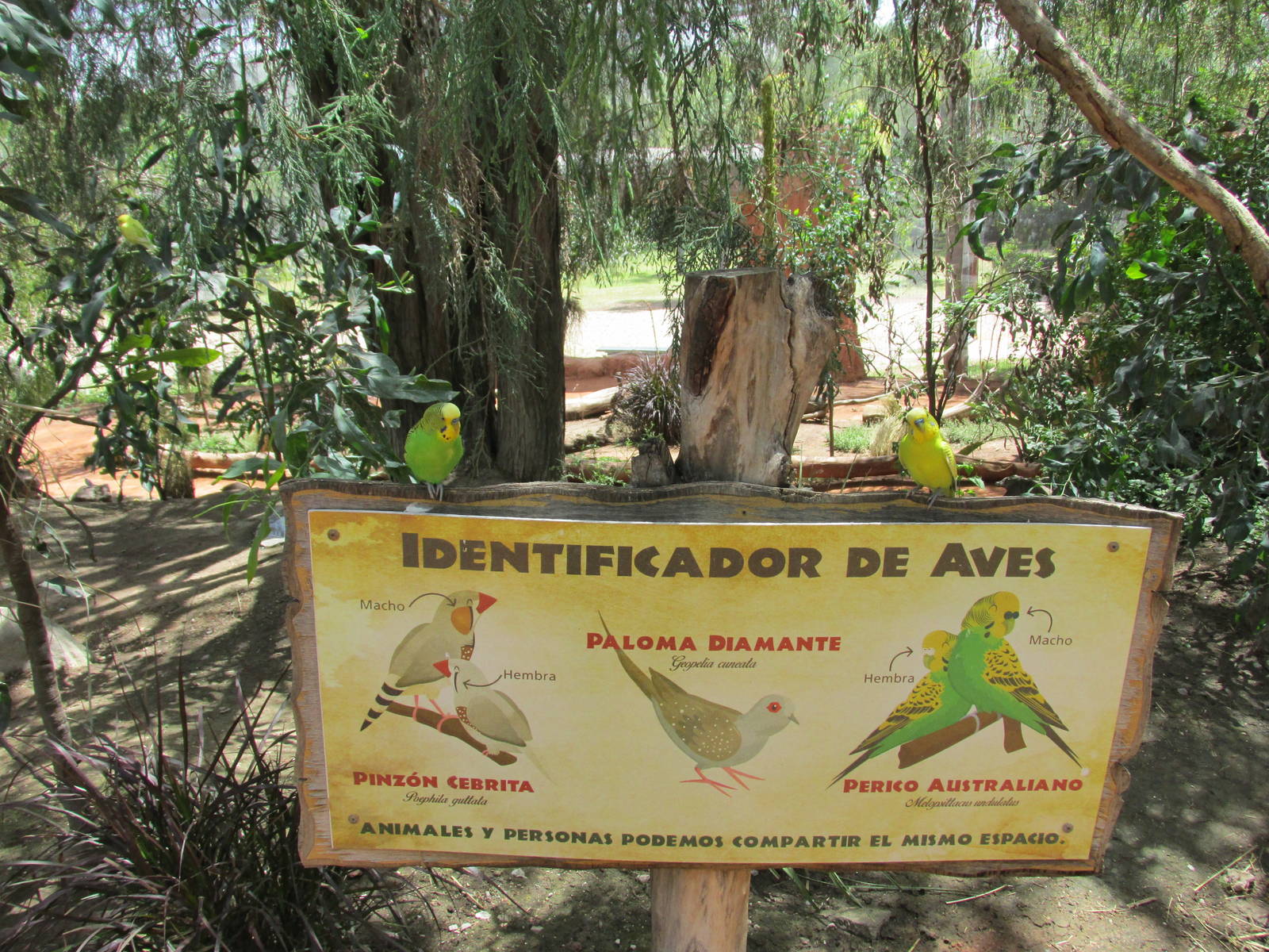 aviary sign africam safari
