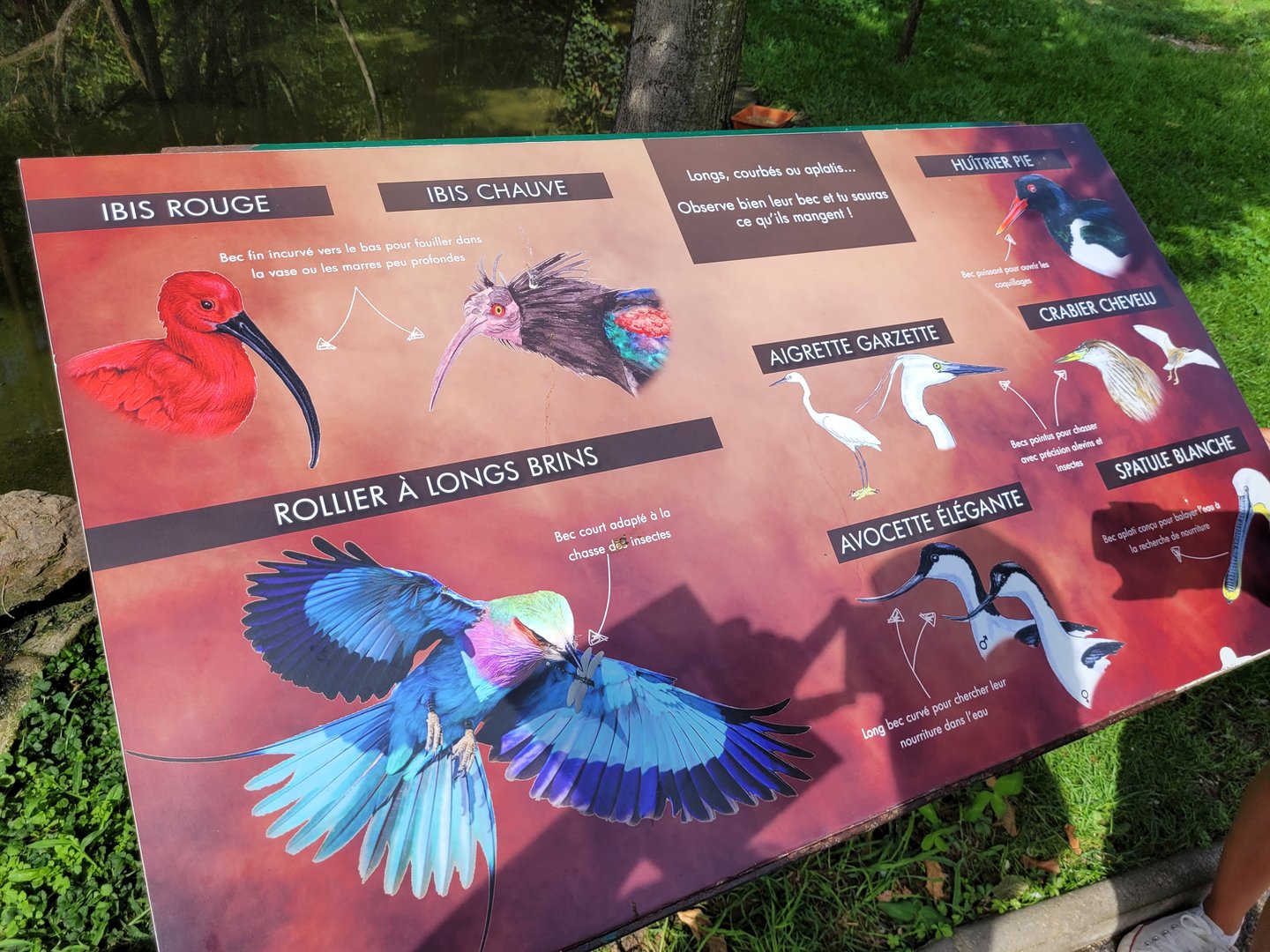 Aviary sign -Parc Animalier des Pyrénées (2023)