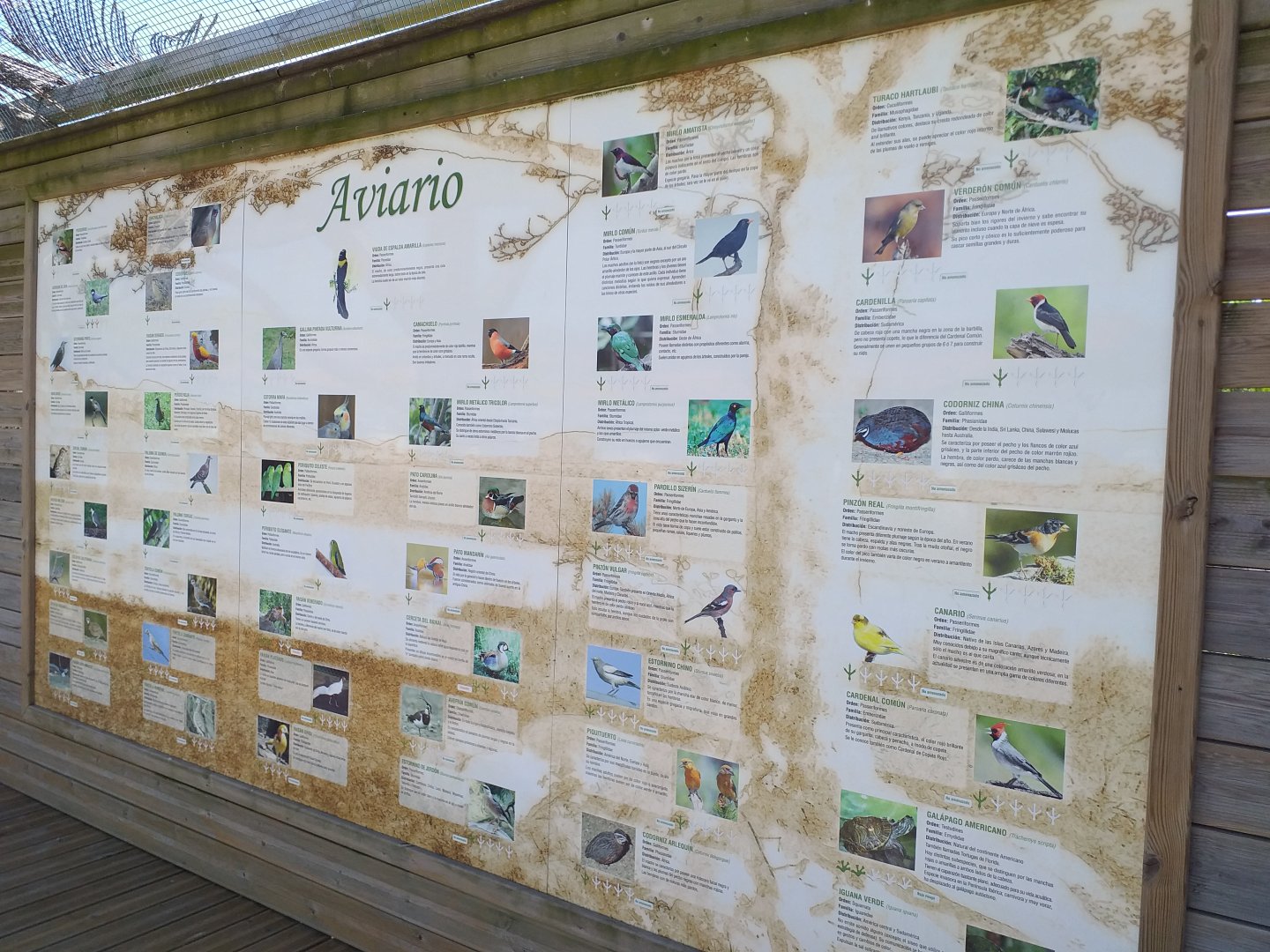 Aviary sign -Sendaviva (2020)