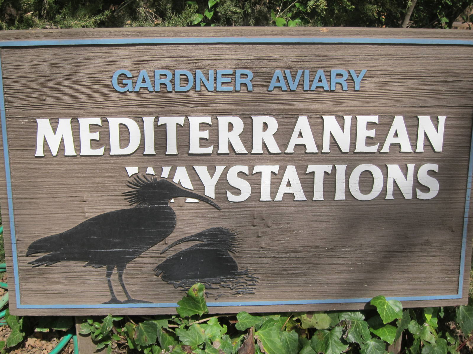 Aviary Sign