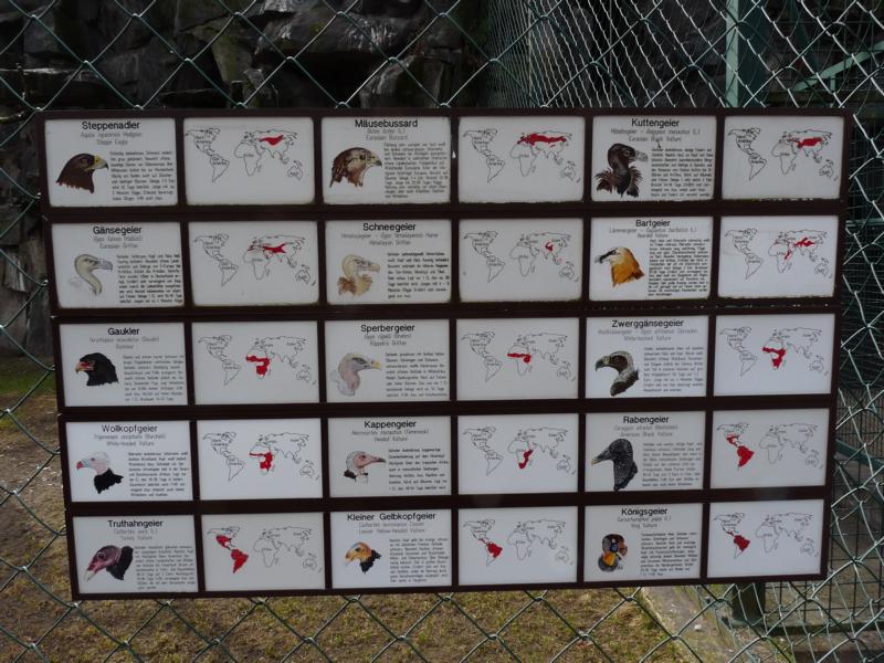 Aviary Sign