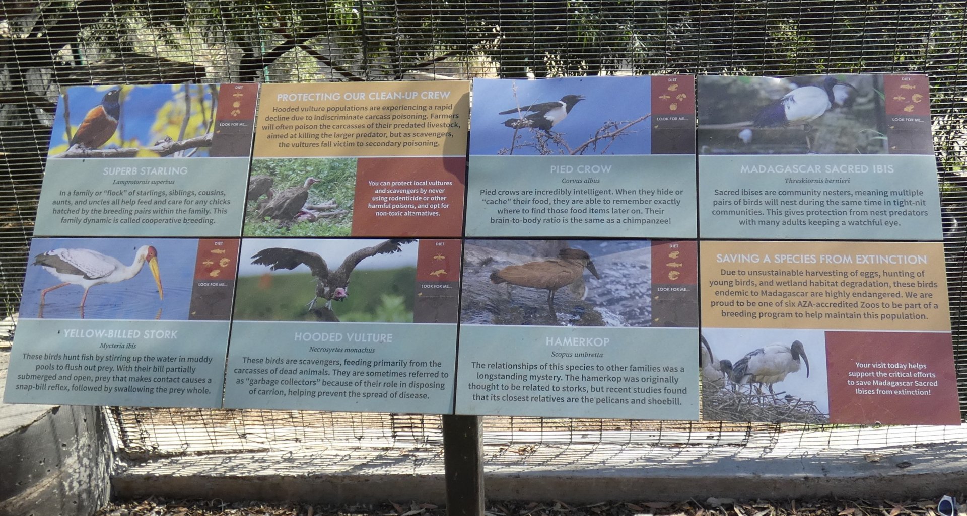 Aviary signage example