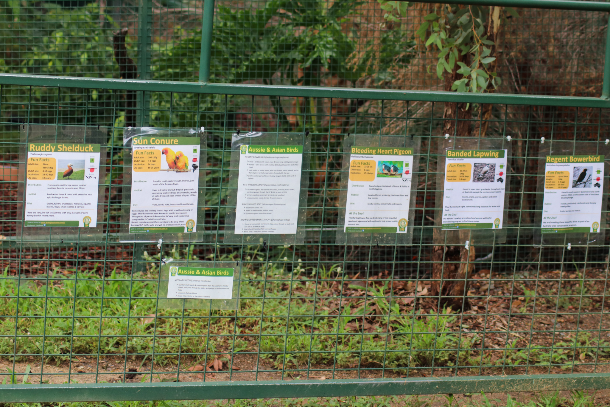 Aviary Signage - February 2020