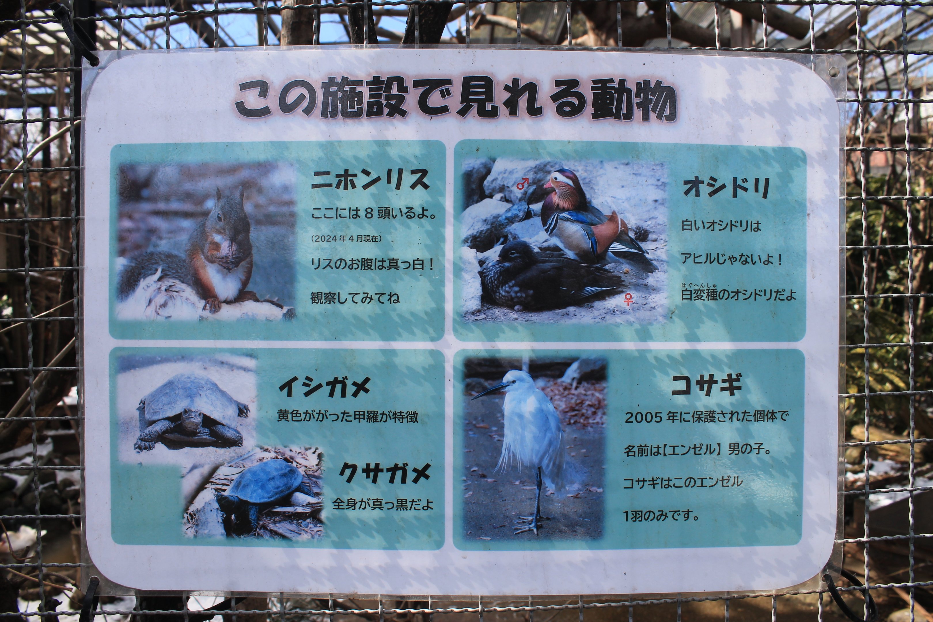 Aviary signage, Joyama Zoo