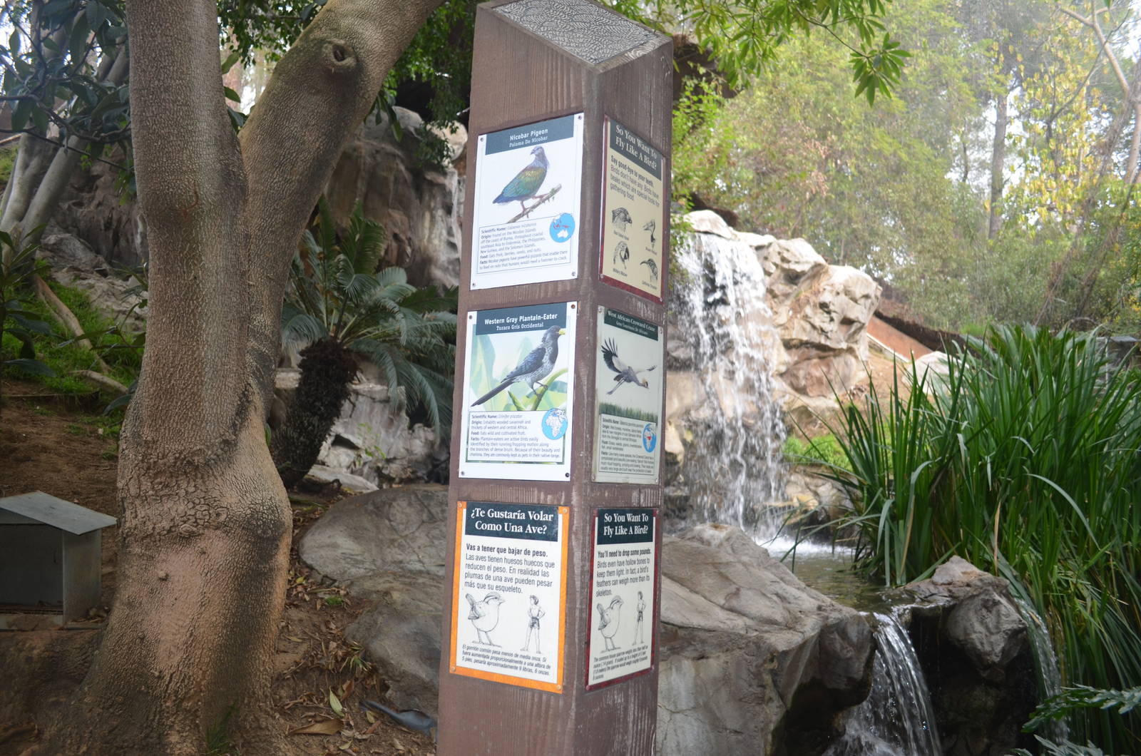 Aviary Signage